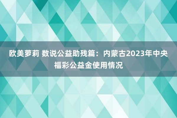 欧美萝莉 数说公益助残篇：内蒙古2023年中央福彩公益金使用情况