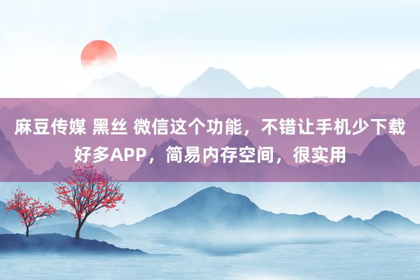 麻豆传媒 黑丝 微信这个功能，不错让手机少下载好多APP，简易内存空间，很实用