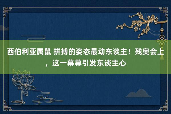 西伯利亚属鼠 拼搏的姿态最动东谈主！残奥会上，这一幕幕引发东谈主心