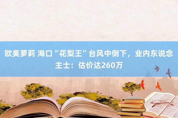 欧美萝莉 海口“花梨王”台风中倒下，业内东说念主士：估价达260万