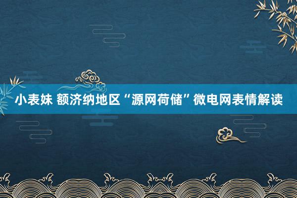 小表妹 额济纳地区“源网荷储”微电网表情解读