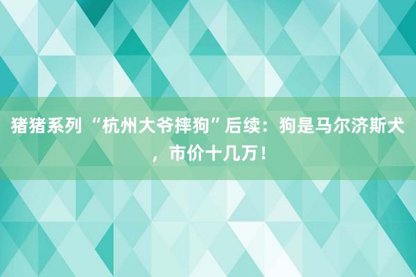 猪猪系列 “杭州大爷摔狗”后续：狗是马尔济斯犬，市价十几万！