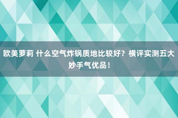 欧美萝莉 什么空气炸锅质地比较好？横评实测五大妙手气优品！