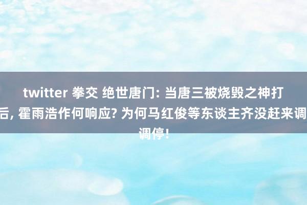 twitter 拳交 绝世唐门: 当唐三被烧毁之神打败后， 霍雨浩作何响应? 为何马红俊等东谈主齐没赶来调停!