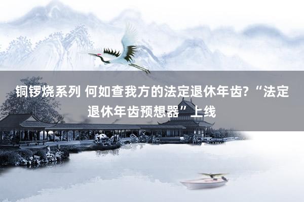 铜锣烧系列 何如查我方的法定退休年齿? “法定退休年齿预想器”上线