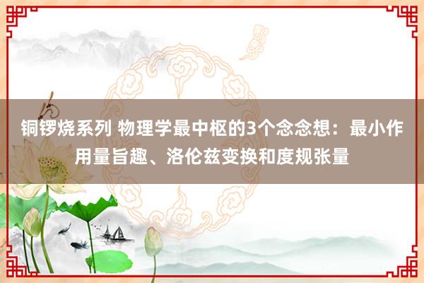 铜锣烧系列 物理学最中枢的3个念念想：最小作用量旨趣、洛伦兹变换和度规张量