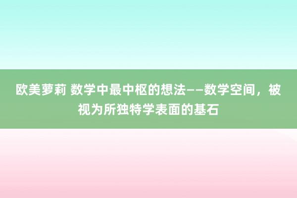 欧美萝莉 数学中最中枢的想法——数学空间，被视为所独特学表面的基石