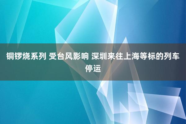 铜锣烧系列 受台风影响 深圳来往上海等标的列车停运