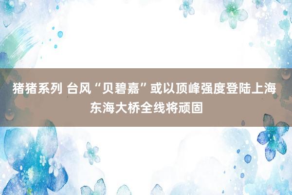 猪猪系列 台风“贝碧嘉”或以顶峰强度登陆上海 东海大桥全线将顽固