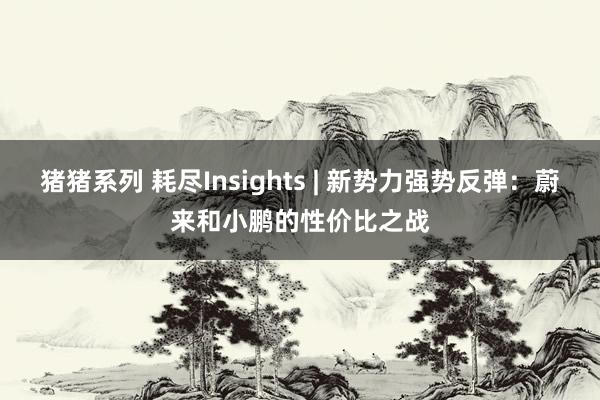 猪猪系列 耗尽Insights | 新势力强势反弹：蔚来和小鹏的性价比之战