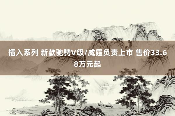 插入系列 新款驰骋V级/威霆负责上市 售价33.68万元起