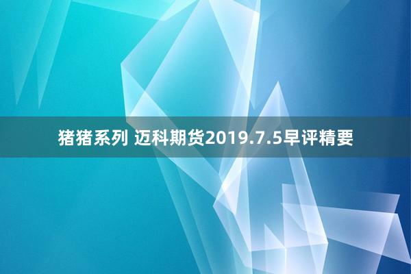 猪猪系列 迈科期货2019.7.5早评精要