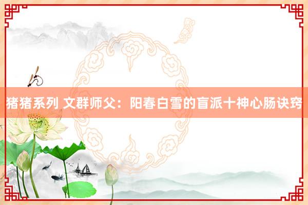 猪猪系列 文群师父：阳春白雪的盲派十神心肠诀窍