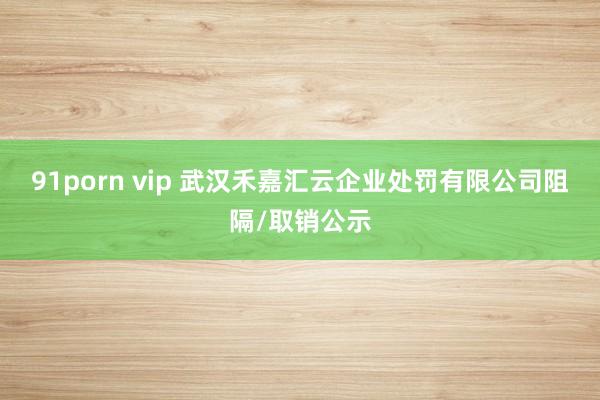 91porn vip 武汉禾嘉汇云企业处罚有限公司阻隔/取销公示