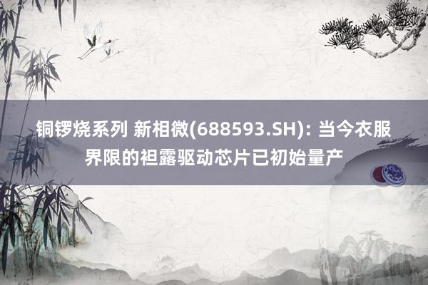 铜锣烧系列 新相微(688593.SH): 当今衣服界限的袒露驱动芯片已初始量产