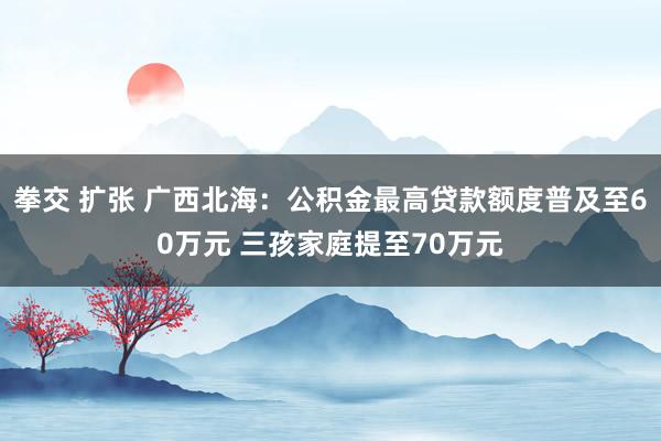 拳交 扩张 广西北海：公积金最高贷款额度普及至60万元 三孩家庭提至70万元