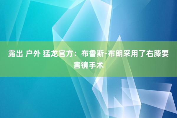 露出 户外 猛龙官方：布鲁斯-布朗采用了右膝要害镜手术