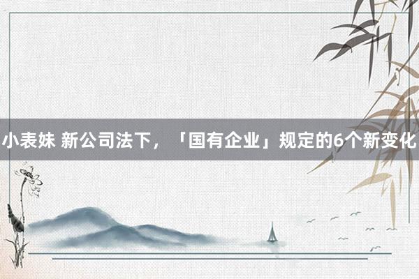 小表妹 新公司法下，「国有企业」规定的6个新变化