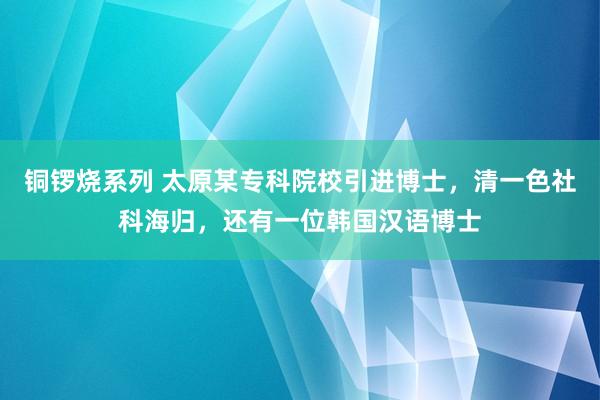 铜锣烧系列 太原某专科院校引进博士，清一色社科海归，还有一位韩国汉语博士