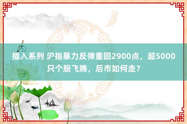 插入系列 沪指暴力反弹重回2900点，超5000只个股飞腾，后市如何走？