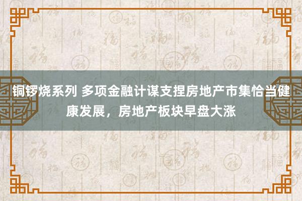 铜锣烧系列 多项金融计谋支捏房地产市集恰当健康发展，房地产板块早盘大涨