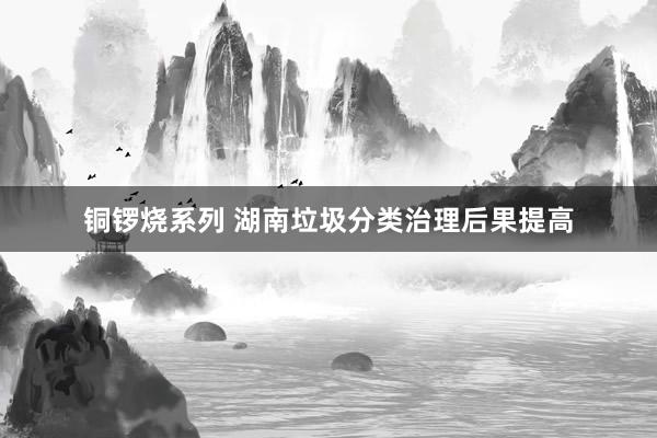 铜锣烧系列 湖南垃圾分类治理后果提高