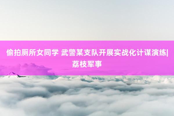 偷拍厕所女同学 武警某支队开展实战化计谋演练|荔枝军事