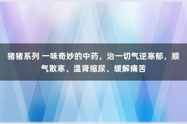 猪猪系列 一味奇妙的中药，治一切气逆寒郁，顺气散寒、温肾缩尿、缓解痛苦