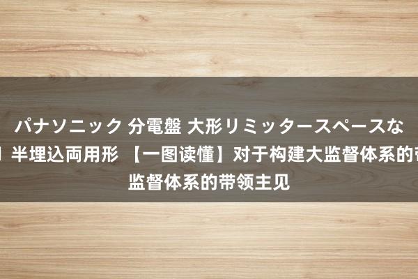 パナソニック 分電盤 大形リミッタースペースなし 露出・半埋込両用形 【一图读懂】对于构建大监督体系的带领主见