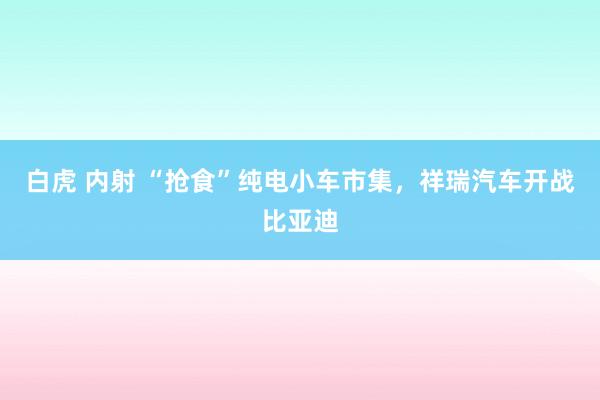 白虎 内射 “抢食”纯电小车市集，祥瑞汽车开战比亚迪