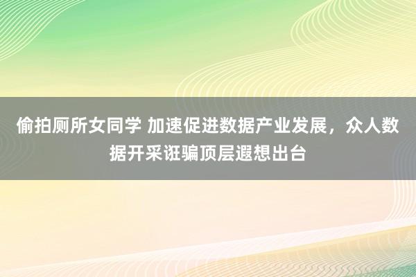 偷拍厕所女同学 加速促进数据产业发展，众人数据开采诳骗顶层遐想出台