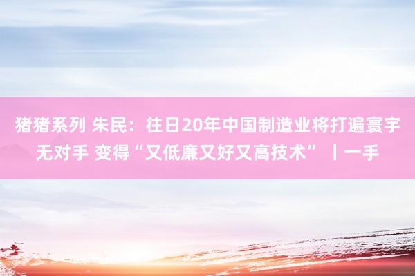 猪猪系列 朱民：往日20年中国制造业将打遍寰宇无对手 变得“又低廉又好又高技术” 丨一手