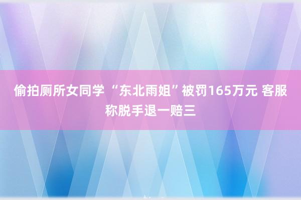 偷拍厕所女同学 “东北雨姐”被罚165万元 客服称脱手退一赔三