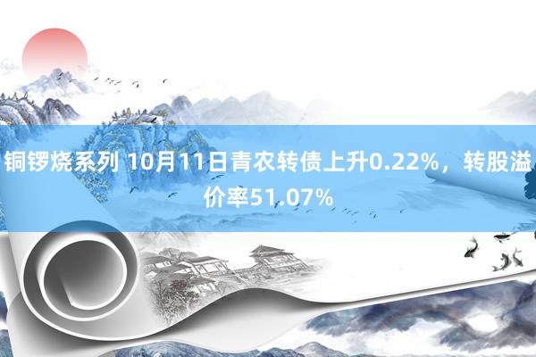 铜锣烧系列 10月11日青农转债上升0.22%，转股溢价率51.07%