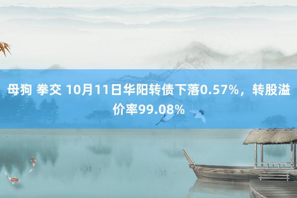 母狗 拳交 10月11日华阳转债下落0.57%，转股溢价率99.08%