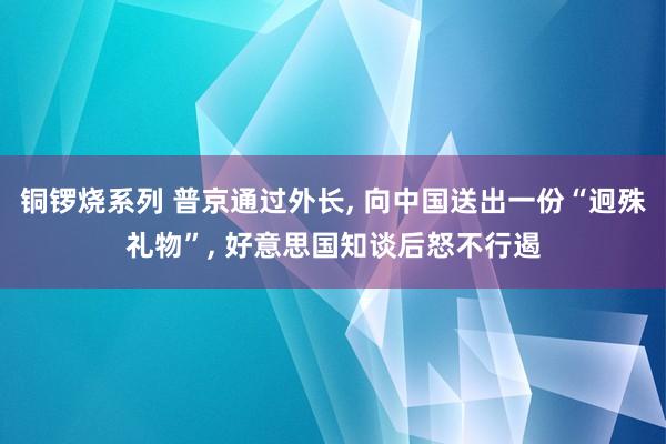 铜锣烧系列 普京通过外长， 向中国送出一份“迥殊礼物”， 好意思国知谈后怒不行遏