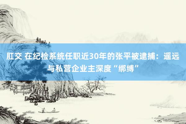 肛交 在纪检系统任职近30年的张平被逮捕：遥远与私营企业主深度“绑缚”