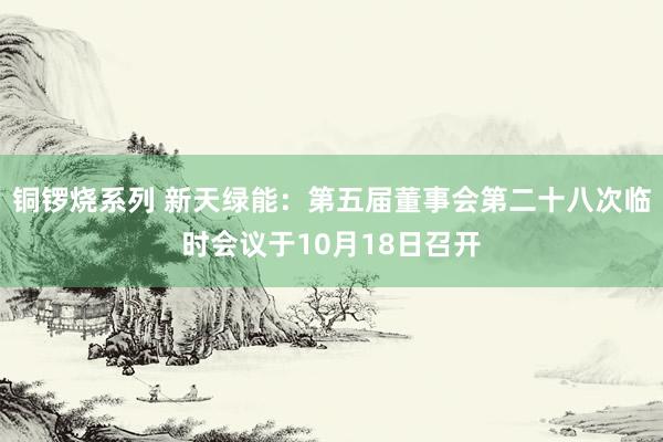 铜锣烧系列 新天绿能：第五届董事会第二十八次临时会议于10月18日召开