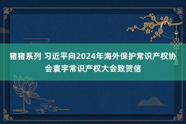 猪猪系列 习近平向2024年海外保护常识产权协会寰宇常识产权大会致贺信