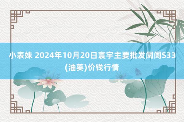 小表妹 2024年10月20日寰宇主要批发阛阓S33(油葵)价钱行情