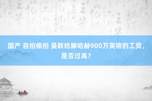 国产 自拍偷拍 曼联给滕哈赫900万英镑的工资，是否过高？