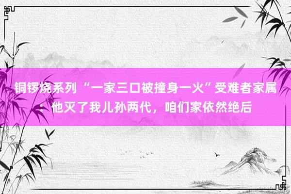 铜锣烧系列 “一家三口被撞身一火”受难者家属：他灭了我儿孙两代，咱们家依然绝后