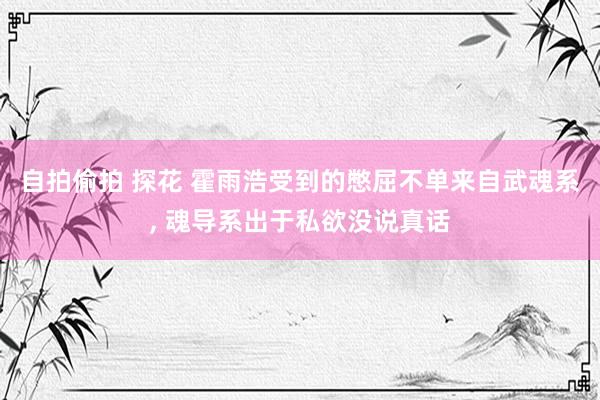 自拍偷拍 探花 霍雨浩受到的憋屈不单来自武魂系， 魂导系出于私欲没说真话