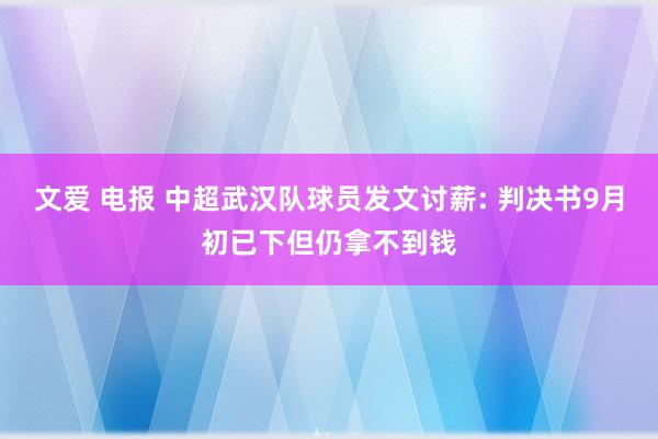 文爱 电报 中超武汉队球员发文讨薪: 判决书9月初已下但仍拿不到钱