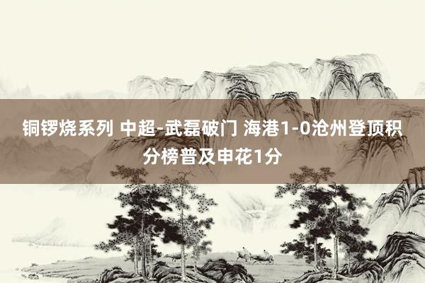 铜锣烧系列 中超-武磊破门 海港1-0沧州登顶积分榜普及申花1分