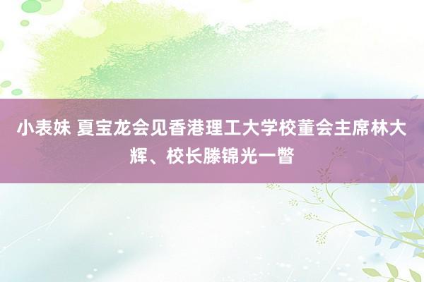 小表妹 夏宝龙会见香港理工大学校董会主席林大辉、校长滕锦光一瞥