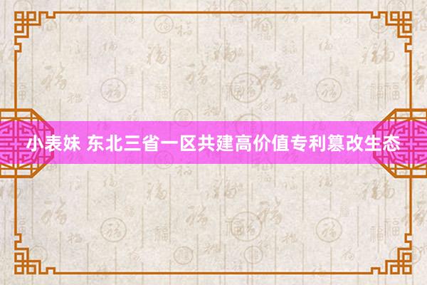 小表妹 东北三省一区共建高价值专利篡改生态