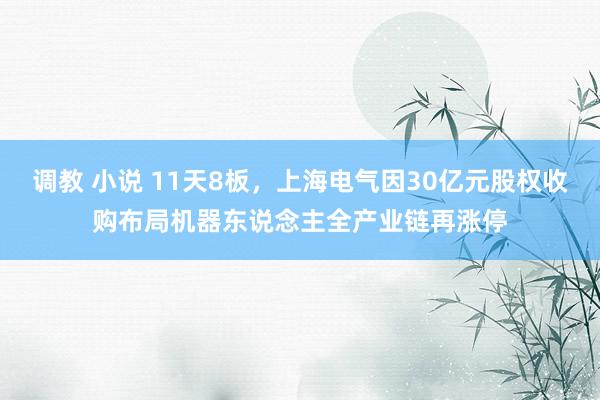 调教 小说 11天8板，上海电气因30亿元股权收购布局机器东说念主全产业链再涨停