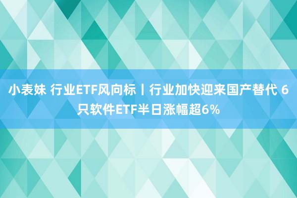 小表妹 行业ETF风向标丨行业加快迎来国产替代 6只软件ETF半日涨幅超6%