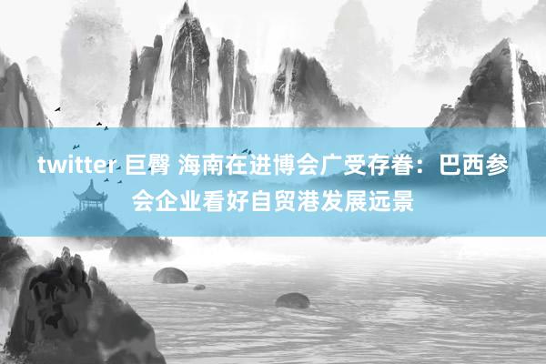 twitter 巨臀 海南在进博会广受存眷：巴西参会企业看好自贸港发展远景